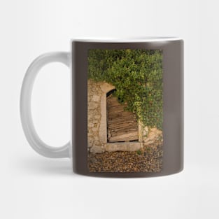 Door in Dobrinj, Krk, Croatia Mug